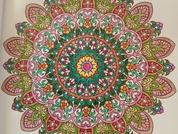 whatsapp bild 2023-07-15 um 19.36.57